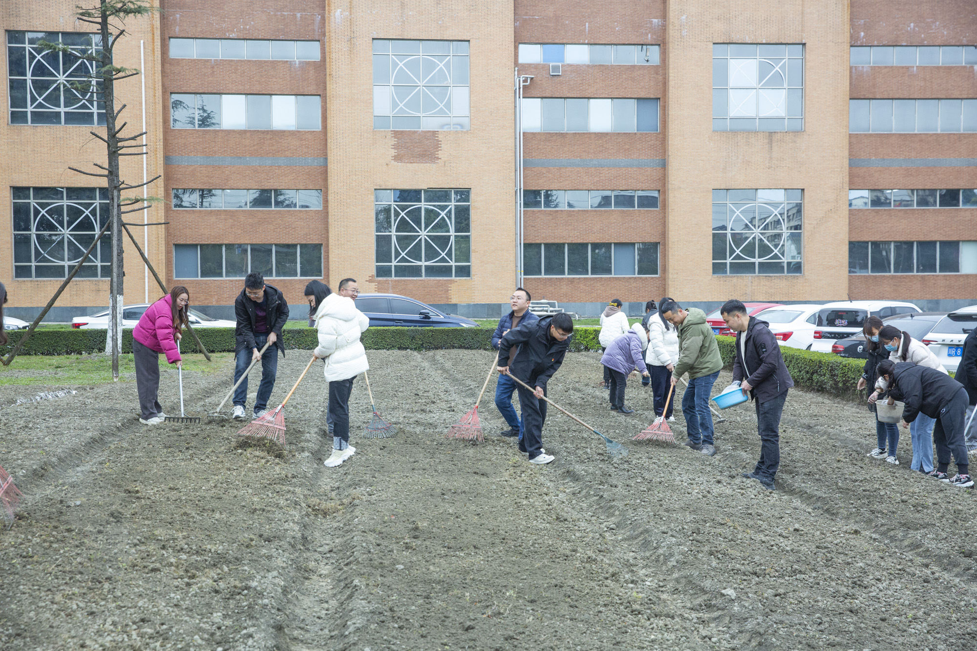 植樹節(jié) | 四川海蓉開(kāi)展“植此青綠，擁抱春天”植樹節(jié)活動(dòng)